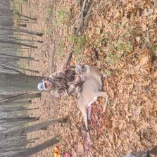 2023 Deer Hunting